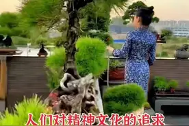 中小盆景未来发展前景视频封面