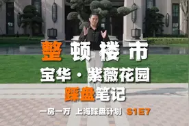 探盘#宝华紫薇花园，堪称新房产品力天花板#上海踩盘笔记视频封面