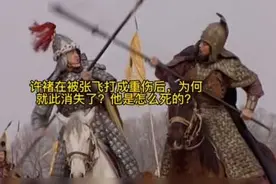 许褚在被张飞打成重伤后，为何就此消失了？他是怎么死的？#三国视频封面