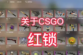 关于我之前3800小时自用大号，被红锁了 #csgo #steam游戏 #cs