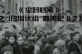 #尘封档案 #“113潜伏组”覆灭记 第七集完：砒霜是剧毒药物视频封面