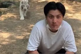 动物园老虎把游客当猎物，扑向男子后才发现有玻璃挡着@天中晚报 @驻马店网 #野生动物园视频封面