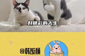 #陈玺达 出走半生归来仍是19岁，这么多事，达子真是一件没有落下#陈玺达要考复旦视频封面