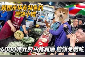 韩国街头奇葩的小摊，4000韩元买一瓶马格利酒，可免费吃蔬菜煎饼视频封面