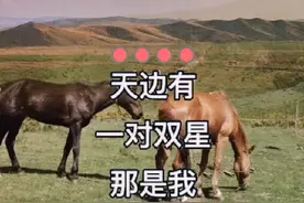 #追寻#好歌推荐百听不厌  #祝大家周末愉快🌹视频封面