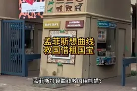 没有熊猫的孟菲斯门可罗雀，孟菲斯可能想转租华盛顿的熊猫撑门面