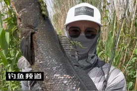 #原来钓鱼才是抖音运动顶流 #钓鱼人就是这么疯狂 视频结尾这条鱼多大？考眼力！视频封面