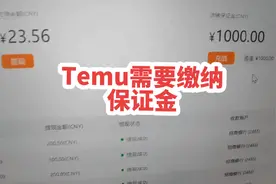 #跨境电商 #temu #拼多多跨境 #temu选品 #拼多多跨境海外版