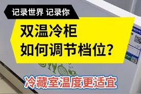 双温冷柜如何调节温度档位？ #冰柜 #双温冷柜 #家用电器视频封面