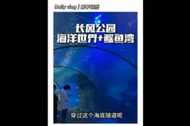 海洋馆位于湖底13米处，300余种鱼类，还有很多科普知识和互动视频封面