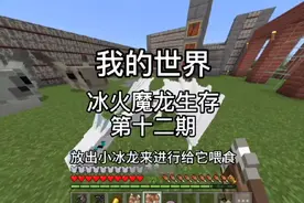 我的世界：冰火魔龙生存第十二期,成功孵化冰龙,制作龙霜套装视频封面