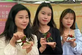 博白这个镇举办首届杨梅美食节，喜欢吃杨梅的朋友别错过！#广西dou知道 #玉林 #广西三月三 #杨梅视频封面