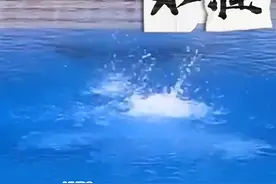 教科书般的水准#全红婵 #2024多哈游泳世锦赛  #多哈世锦赛全红婵夺金 #内容启发搜索 #体育精神视频封面