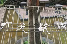 这句成都话，你懂得起噻视频封面
