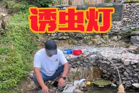 粉丝朋友说，鱼池安装上诱虫灯就可以不用喂鱼了。 #改造小院 #旧房改造 #三农 #庭院鱼池 #青竹鲤视频封面