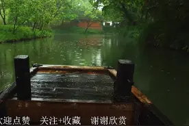 一曲《殇》大提琴演奏 ，舒缓伤感 ，唯美动听。纯音乐欣赏视频封面