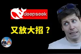 DeepSeek 又放大招！视觉多模态正式开源，附本地安装！ DeepSeek视频封面