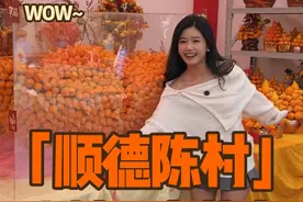 陈村迎春花市 陈村迎春还是果然是顶流花市，吃喝玩乐样样齐，各式各样的年花都有#岭南年味在陈村 #陈村迎春花市 #陈村花卉世界 #最有烟火气的迎春花市 #穿越千年的陈村花市视频封面