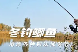滑漂钓法中常见的几种钓法优劣势分析 比如立漂悬坠钓法，自动找底钓法，球球钓法等。#滑漂钓法 #自动找底钓法 #球球钓法视频封面