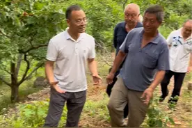 辉县山楂一路走来真不容易！老山楂树如同老茶树，结的果子药用价值极高，同时希望用柿子醋代替农药打山楂树，柿子醋要提前打，可以很好预防病虫害#我为家乡农产品代言 #辉县山楂#我的乡村生活日记视频封面