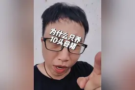 为什么只养10头母猪？有啥意思，去工厂打螺丝不香吗？或者多养点育肥猪，不是更轻松吗？#阿土哥 #养猪