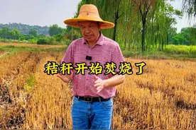秸秆焚烧在逐步放开，但各地政策不一样。一定要咨询当地，得到许可之后才能有组织地有序焚烧秸秆，千万不要贸然行事，以免造成不必要的麻烦。#秸秆焚烧 #秸秆禁烧 #农民#抖音助农 #新农人计划2024 @抖音热点视频封面