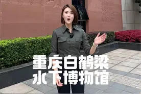 水下博物馆 你们见过吗！？看完就知道了！#重庆美好推荐官 #博物馆视频封面