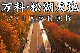 今天实探万科松湖天地的交付现场全程看下来交付品质确实很不错！视频封面