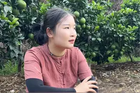 今天下午比较清闲 我要带大家去我们家脐橙园看看，提前感受我们赣南脐橙的硕果累累，在晚霞的拥抱下 橙子的美 犹如一幅画，与大家分享这份来自乡村丰收季的宁静与美好#向世界安利中国丰收味  #中国农民丰收节#金产地计划#寻找吃痴的爱视频封面
