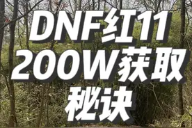 DNF200w金币红11办法全职业200W金币，最无脑提升红11小妙招视频封面