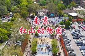 红山动物园错峰旅游攻略来了，记得点赞收藏出发前看一看视频封面