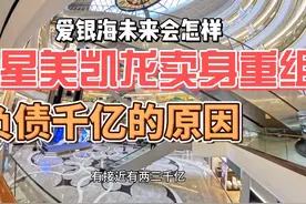 红星美凯龙负债千亿，卖身重组。爱琴海易主后，未来何去何从视频封面