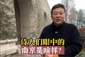 诗人们眼中的南京#南京 #飞哥说南京 #南京历史 #诗歌 #诗词视频封面