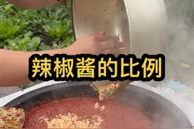 十年做辣椒酱的经验，今天跟大家分享一下，拿着小本子做好笔记哦！#新农人计划2024 #辣椒酱 #自制辣椒酱 #我的乡村生活视频封面