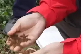 好消息！我国在云南新发现超大规模稀土矿，有望成为中国最大的中重稀土矿床。（来源：人民日报）视频封面