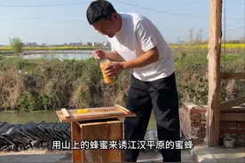 卜同学的蜜蜂憧憬（二）：蜂箱安装完毕，静待蜜蜂视频封面