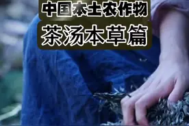 户外趣味知识 第54集 中国本草 总体来说，我国有很多高产和特殊风味农作物是境外引进品种，但奇怪的是，大部分本草植物，都是中国原生的本土作物。这难道有啥玄机吗？#大自然的馈赠 #植物科普 #地大物博#自然演化视频封面