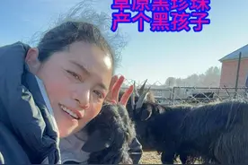 牧民生活 在平淡的日子里，做着自己热爱的事，奔赴简单生活，不求生活多么耀眼，只愿它能照亮我梦想的每一个角落！#三农#记录真实生活视频封面