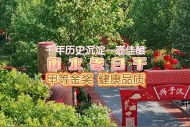 千年历史沉淀一壶佳酿#第六届印象衡水老白干酒文化节视频封面