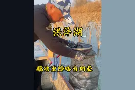 这种大面积水域，选小水面，密中找稀，多窝少打，大范围搜索为佳#传统钓 #钓鱼技巧 #野生大板鲫视频封面