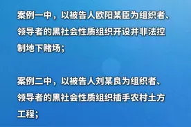 打击“村霸”和宗族黑恶势力 最高法发布惩治农村黑恶犯罪典型案例视频封面