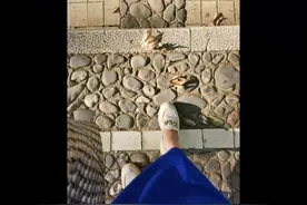 曾经获得诺贝尔和平奖的特蕾莎修女，就是阿尔巴尼亚人视频封面