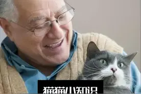 为什么老人养出来的猫咪那么听话？ #养猫人 #养猫经验分享视频封面