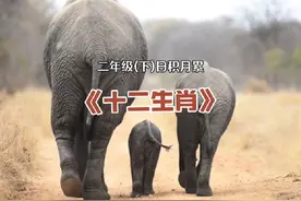 二年级下册，日积月累《十二生肖》。 #万物皆有灵 #动物萌时刻视频封面