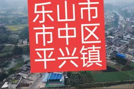 四川省乐山市市中区平兴镇#平兴镇 #平兴镇历史#乐山平兴镇视频封面