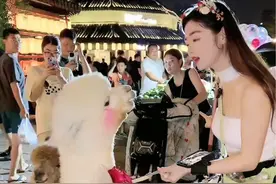 我就吃免费的咋滴？ 萝卜墩：付钱的东西！本驼从来不吃！付钱就吐你！就问你服不服？#羊驼 #全网最聪明的羊驼 #你妹的羊驼你也骗 #就问你服不服视频封面