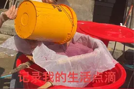 今天打紫薯粉，没想到紫薯打出来的粉会是这样的颜色#记录我的农村生活 #记录我的真实生活@亿毛视频封面