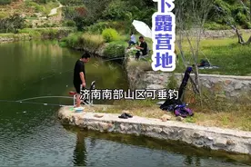 济南南部山区川道村，可露营垂钓，采摘山楂，就在山楂树下露营地 #周边游 #亲子游玩好去处 #旅行推荐官视频封面
