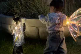 猫：原来有一双发光的翅膀是那么美… #猫和孩子 #我和我的猫 #萌宠出道计划 #萌娃和萌宠 #喵星人视频封面