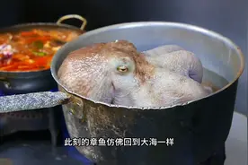 刚捕捞上来的章鱼直接用温水烫晕，只取用章鱼腿肉制作视频封面
